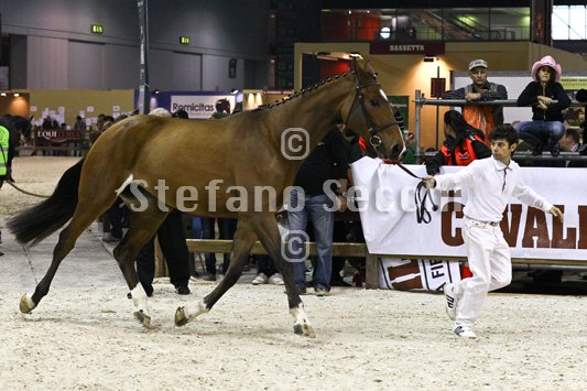 NADA BRAUN_MILANO_2010_SS3_1527.jpg